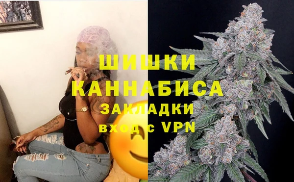 spice Бронницы